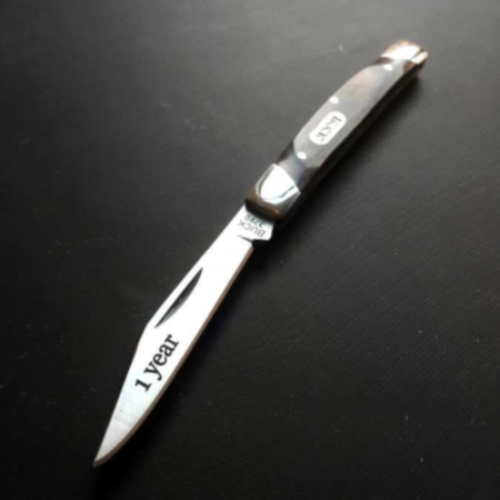 Buck 379 Solo Knife